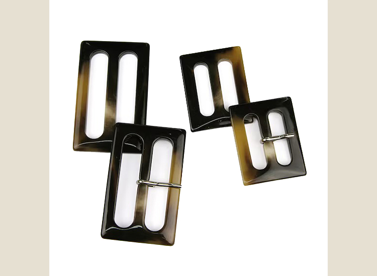 Belt and Buckle 07